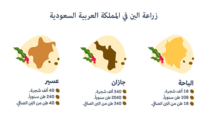 زراعة البن في المملكة العربية السعودية | ترامس روز